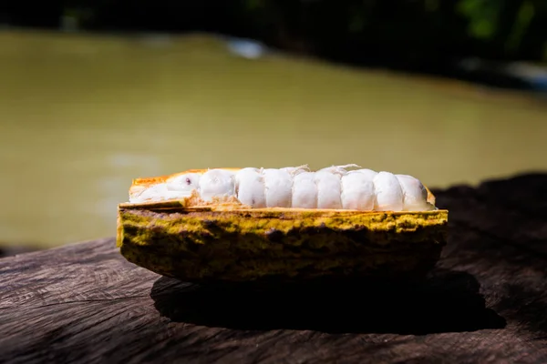Färsk Välsmakande Kakaofrukt Agua Azul Kaskadpark Palenque Mexiko Livlig Landskap — Stockfoto