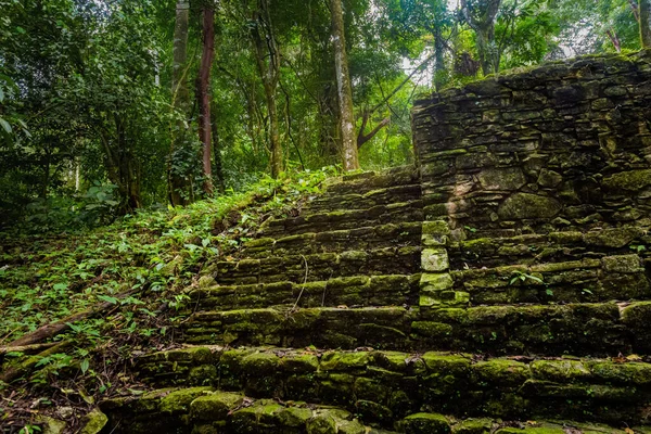 Beautiful Pyramids Palenque Archeological Site Mexico Vivid Landscape Photo — Stock Photo, Image