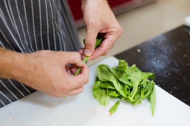 Hint yemeklerini hazırlamanın geleneksel yolu taze ıspanak. Goa 'da aşçılık kursunda alınan taze malzemelerden yapılmış geleneksel Hint mutfağının resmi.