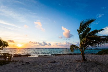 Meksika 'nın Mahahual plajında güneş doğarken çekilmiş güzel Karayip manzara fotoğrafı.