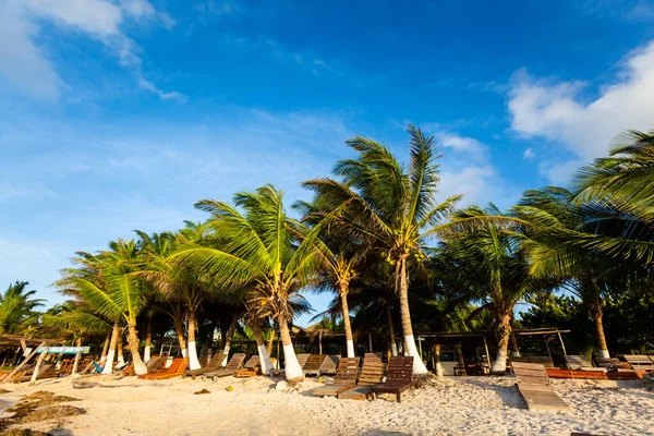 Beautiful Caribbean Landscape Photo Taken Mahahual Beach Mexico Sunny Day — Stock Photo, Image