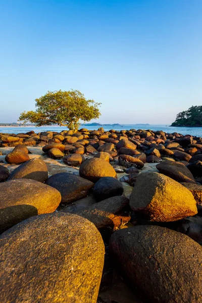 Красивая Фотография Пейзажа Голубым Небом Сделанная Гоа Индия Знаменитом Пляже — стоковое фото