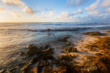 Güneşli bir günde Meksika 'daki Cozumel Adası' nda çekilen güzel manzara fotoğrafı..
