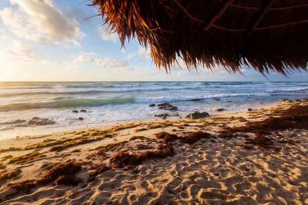 Bela Paisagem Foto Tirada Ilha Cozumel México Durante Dia Ensolarado — Fotografia de Stock