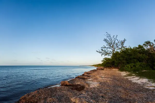 Hermosa Foto Paisaje Tomada Isla Cozumel México Durante Día Soleado Imágenes de stock libres de derechos