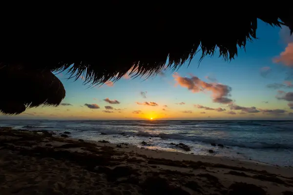 Piękny Krajobraz Zdjęcie Zrobione Wyspie Cozumel Meksyku Słoneczny Dzień Obrazy Stockowe bez tantiem