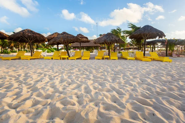 Krásná Krajina Fotografie Pořízena Ostrově Cozumel Mexiku Během Slunečného Dne Royalty Free Stock Obrázky