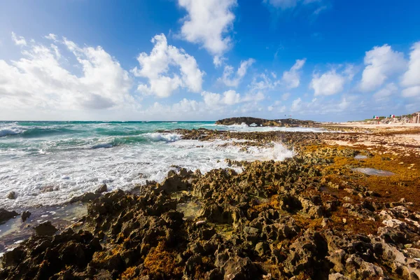 Krásná Krajina Fotografie Pořízena Ostrově Cozumel Mexiku Během Slunečného Dne Stock Fotografie