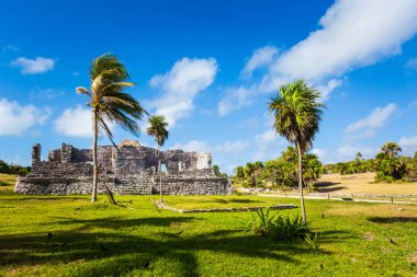 Güneşli bir günde Meksika 'nın Tulum şehrinde çekilen Maya harabelerinin güzel Karayip manzara fotoğrafı.