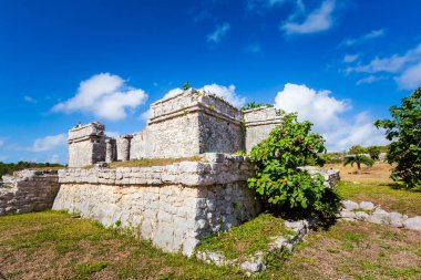 Güneşli bir günde Meksika 'nın Tulum şehrinde çekilen Maya harabelerinin güzel Karayip manzara fotoğrafı.