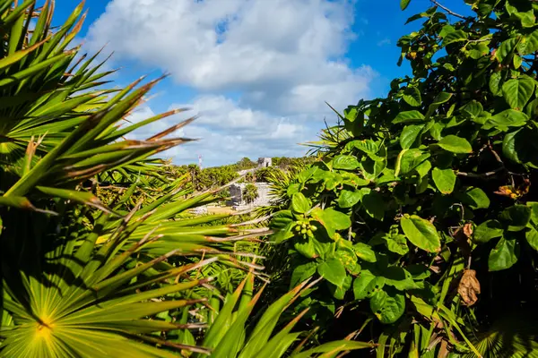 Güneşli bir günde Meksika 'nın Tulum şehrinde çekilen Maya harabelerinin güzel Karayip manzara fotoğrafı.