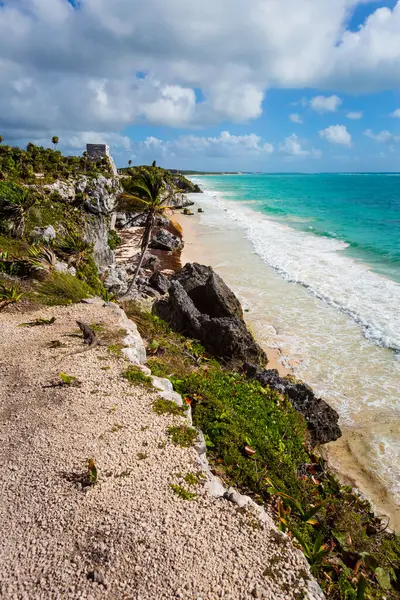 Güneşli bir günde Meksika 'nın Tulum şehrinde çekilen Maya harabelerinin güzel Karayip manzara fotoğrafı.