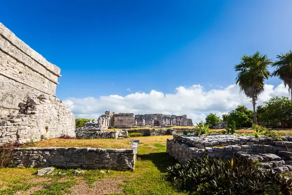 Güneşli bir günde Meksika 'nın Tulum şehrinde çekilen Maya harabelerinin güzel Karayip manzara fotoğrafı.