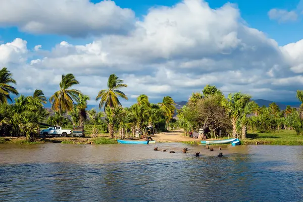 Puerto Escondido 'dan Puerto Suelo, Meksika' ya güneşli bir günde güzel bir at gezisi. Eko kavramı.