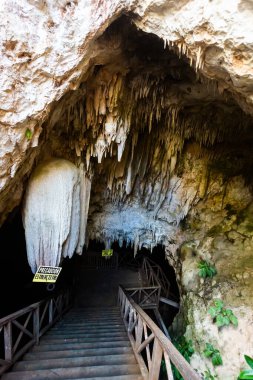 Agua Dulce 'un güzel doğası Meksika, Valladolid bölgesinde yer alır. Canlı manzara fotoğrafı, yemyeşil ve kristal suyla.