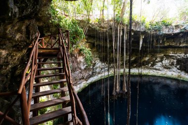 Secreto Maya 'nın güzel doğası Meksika, Valladolid bölgesinde yer alır. Canlı manzara fotoğrafı, yemyeşil ve kristal suyla.