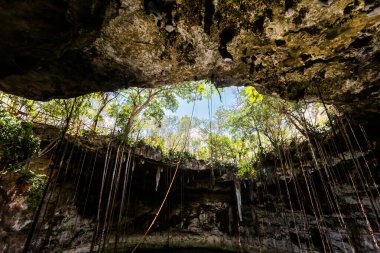 Secreto Maya 'nın güzel doğası Meksika, Valladolid bölgesinde yer alır. Canlı manzara fotoğrafı, yemyeşil ve kristal suyla.