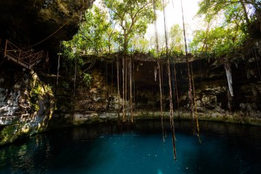 Secreto Maya 'nın güzel doğası Meksika, Valladolid bölgesinde yer alır. Canlı manzara fotoğrafı, yemyeşil ve kristal suyla.