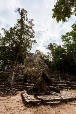 Meksika 'daki Coba arkeolojik sahasında güzel piramitler. Maya köyünün canlı manzara fotoğrafı.