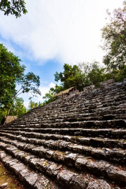 Meksika 'daki Coba arkeolojik sahasında güzel piramitler. Maya köyünün canlı manzara fotoğrafı.