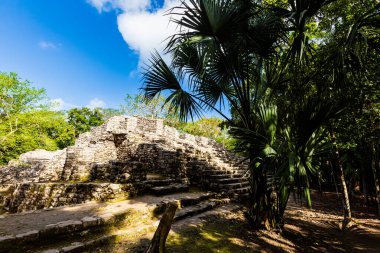 Meksika 'daki Coba arkeolojik sahasında güzel piramitler. Maya köyünün canlı manzara fotoğrafı.