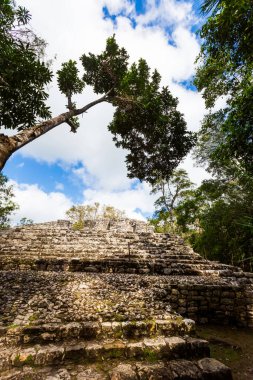 Meksika 'daki Coba arkeolojik sahasında güzel piramitler. Maya köyünün canlı manzara fotoğrafı.