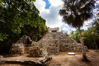 Meksika 'daki Coba arkeolojik sahasında güzel piramitler. Maya köyünün canlı manzara fotoğrafı.