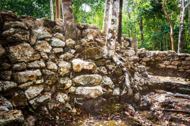 Meksika 'daki Coba arkeolojik sahasında güzel piramitler. Maya köyünün canlı manzara fotoğrafı.