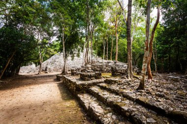 Meksika 'daki Coba arkeolojik sahasında güzel piramitler. Maya köyünün canlı manzara fotoğrafı.
