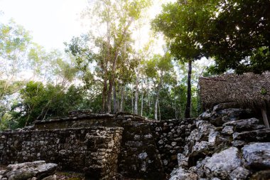 Meksika 'daki Coba arkeolojik sahasında güzel piramitler. Maya köyünün canlı manzara fotoğrafı.