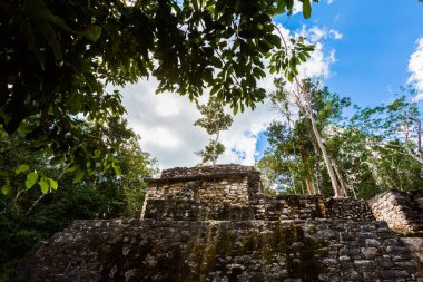 Meksika 'daki Coba arkeolojik sahasında güzel piramitler. Maya köyünün canlı manzara fotoğrafı.