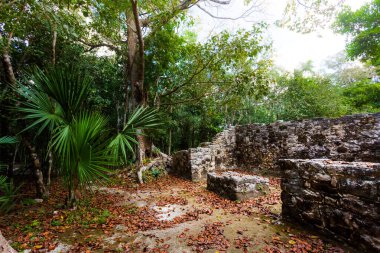 Meksika 'daki Coba arkeolojik sahasında güzel piramitler. Maya köyünün canlı manzara fotoğrafı.