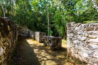 Meksika 'daki Coba arkeolojik sahasında güzel piramitler. Maya köyünün canlı manzara fotoğrafı.