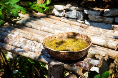 Meksika 'daki Coba arkeolojik sahasında güzel piramitler. Maya köyünün canlı manzara fotoğrafı.