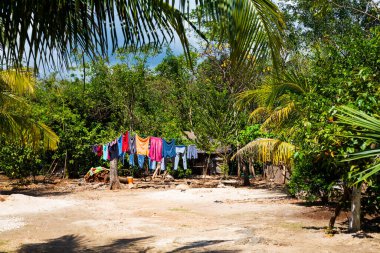 Meksika 'daki Coba arkeolojik sahasında güzel piramitler. Maya köyünün canlı manzara fotoğrafı.