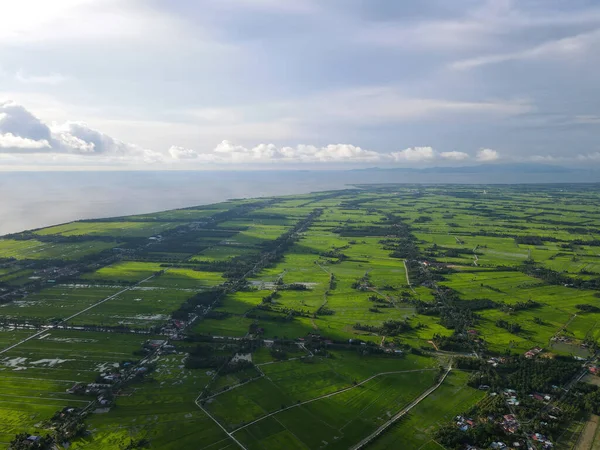 Letecký Pohled Zelené Rýžové Pole Pobřeží — Stock fotografie