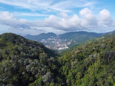 Mavi güneşli bir günde hava manzaralı bir orman. Arka plan Ayer İtam kasabası.
