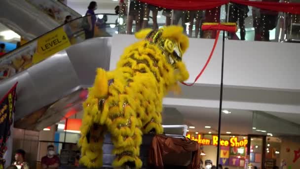 Georgetown Penang Malaysia Jan 2022 Yellow Dragon Dance Open Greeting — Stock Video