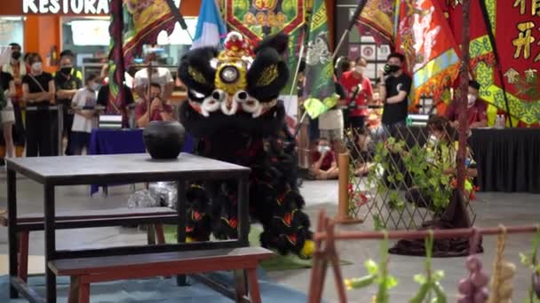 Джорджтаун Пенанг Малайзия Янв 2022 Черный Пьяный Танец Льва Время — стоковое видео