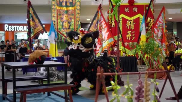 Georgetown Penang Malaysia Jan 2022 Χορός Μαύρου Λιονταριού Κατά Διάρκεια — Αρχείο Βίντεο
