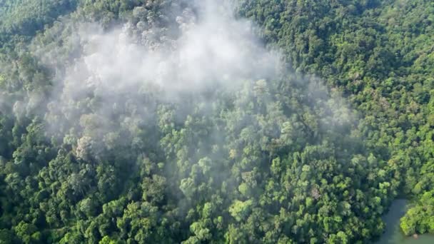 空中看 白云在热带雨林上空移动 — 图库视频影像