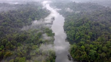 İHA, sisli bir sabahta Malezya yağmur ormanlarının üzerinden nehri vurdu.