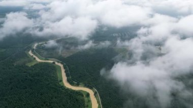 Hava manzaralı beyaz bulut, nehir kıyısındaki palmiye yağı tarlasında hareket ediyor.