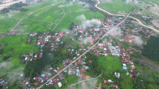 Luftaufnahme Von Oben Nach Unten Malaiisches Dorf Über Reisfeld Morgendlicher — Stockvideo
