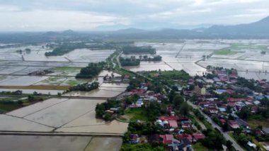 Hava manzaralı Kubang Semang kasabası çeltik tarlası su mevsiminin yanında.