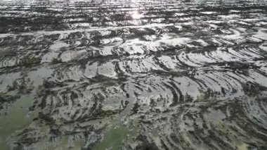 Bataklıktaki çamurlu arazinin havadan görünüşü.