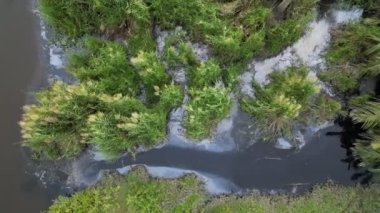 Nehrin sulak arazisindeki su kirliliğine bak.