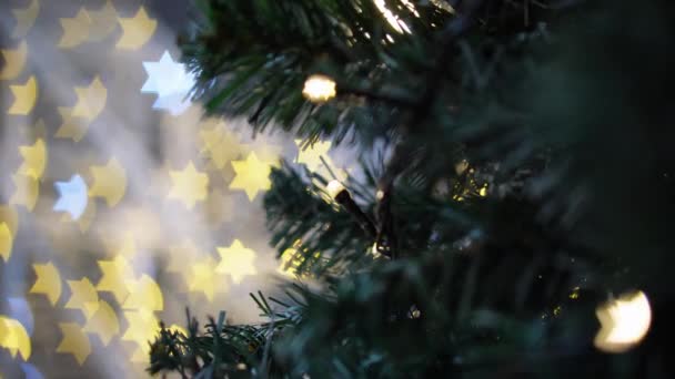 Foco Raso Árvore Natal Verde Com Fundo Estrela Bokeh — Vídeo de Stock