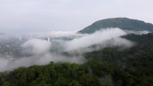 Вид Воздуха Тропических Лесов Туманном Белом Облаке Рядом Городом Букит — стоковое видео