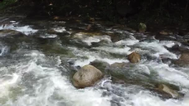 森林中岩石上水流的俯瞰美景 — 图库视频影像
